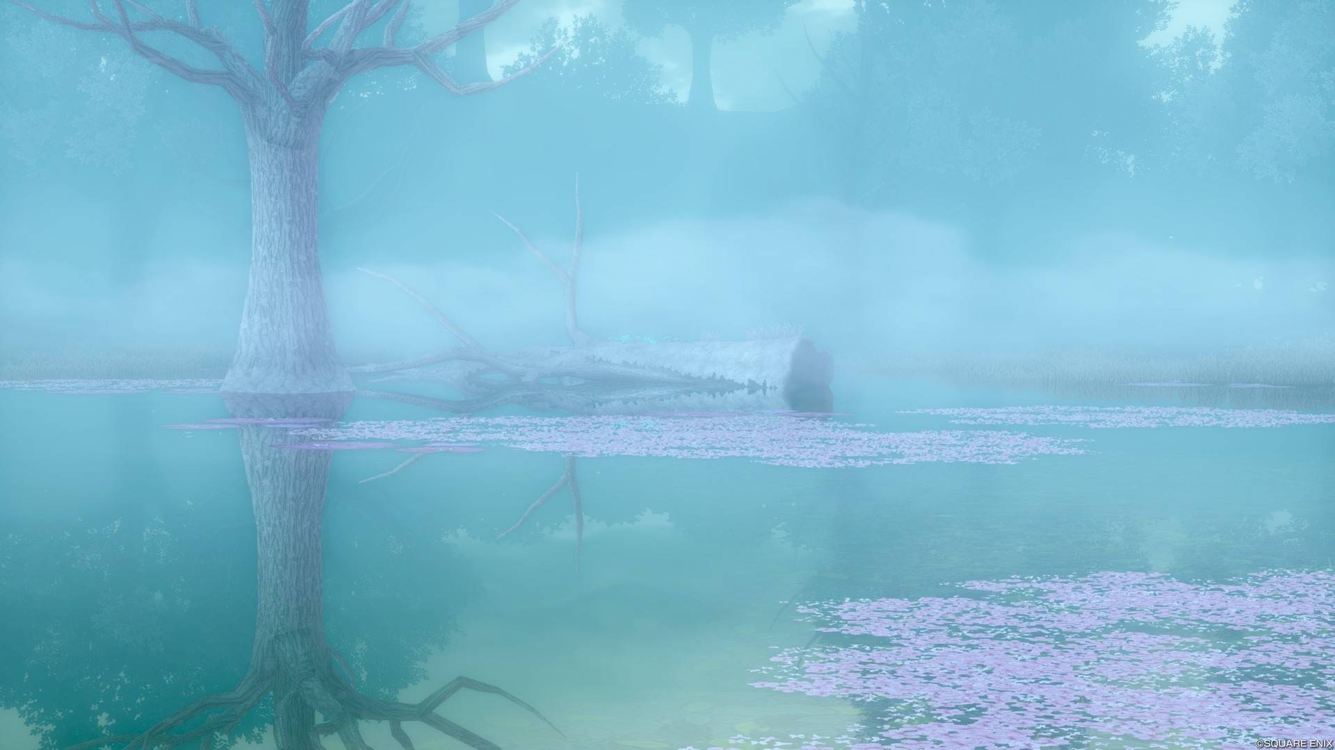 水辺